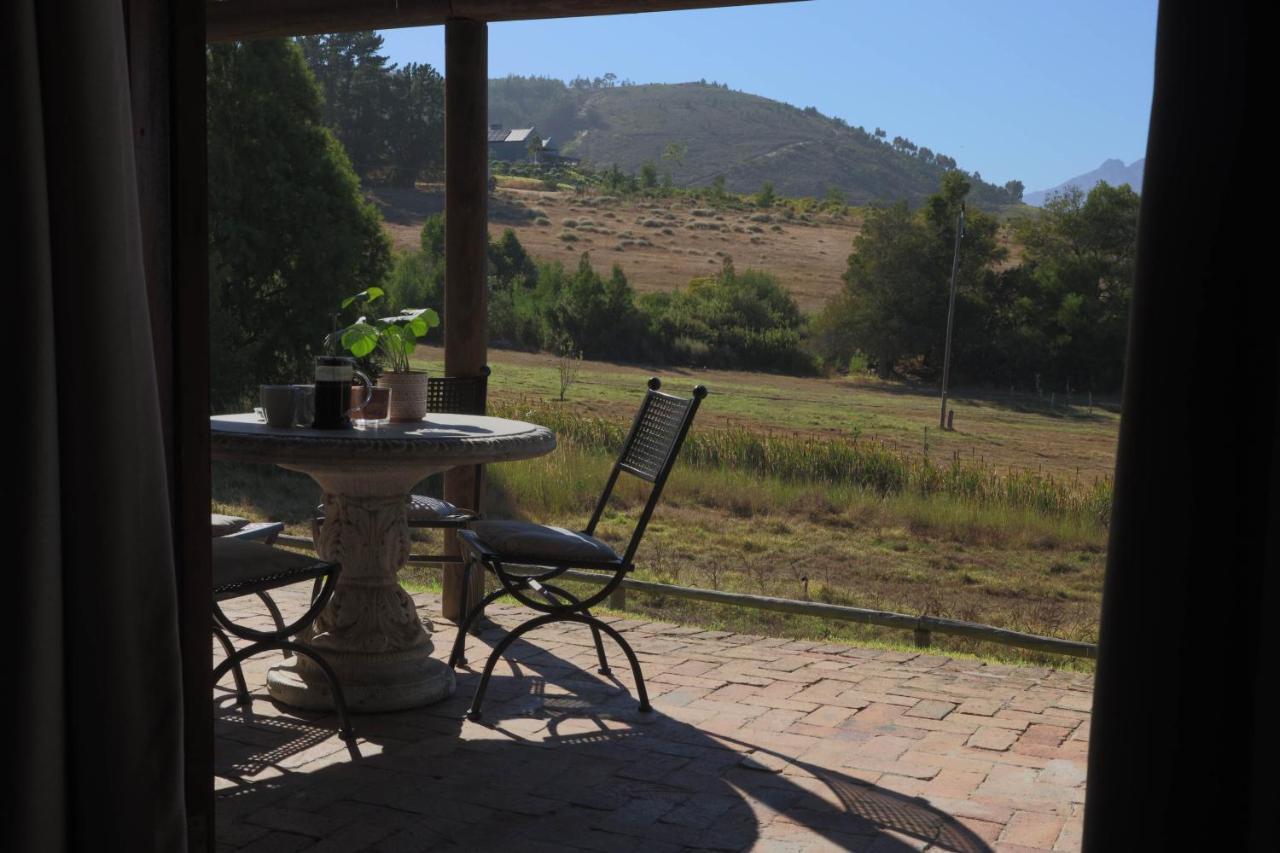 Zebra Cottage And Lodge Stellenbosch Kültér fotó