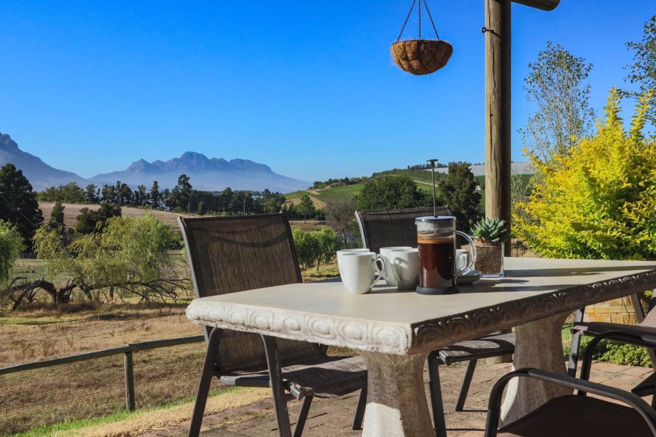 Zebra Cottage And Lodge Stellenbosch Kültér fotó