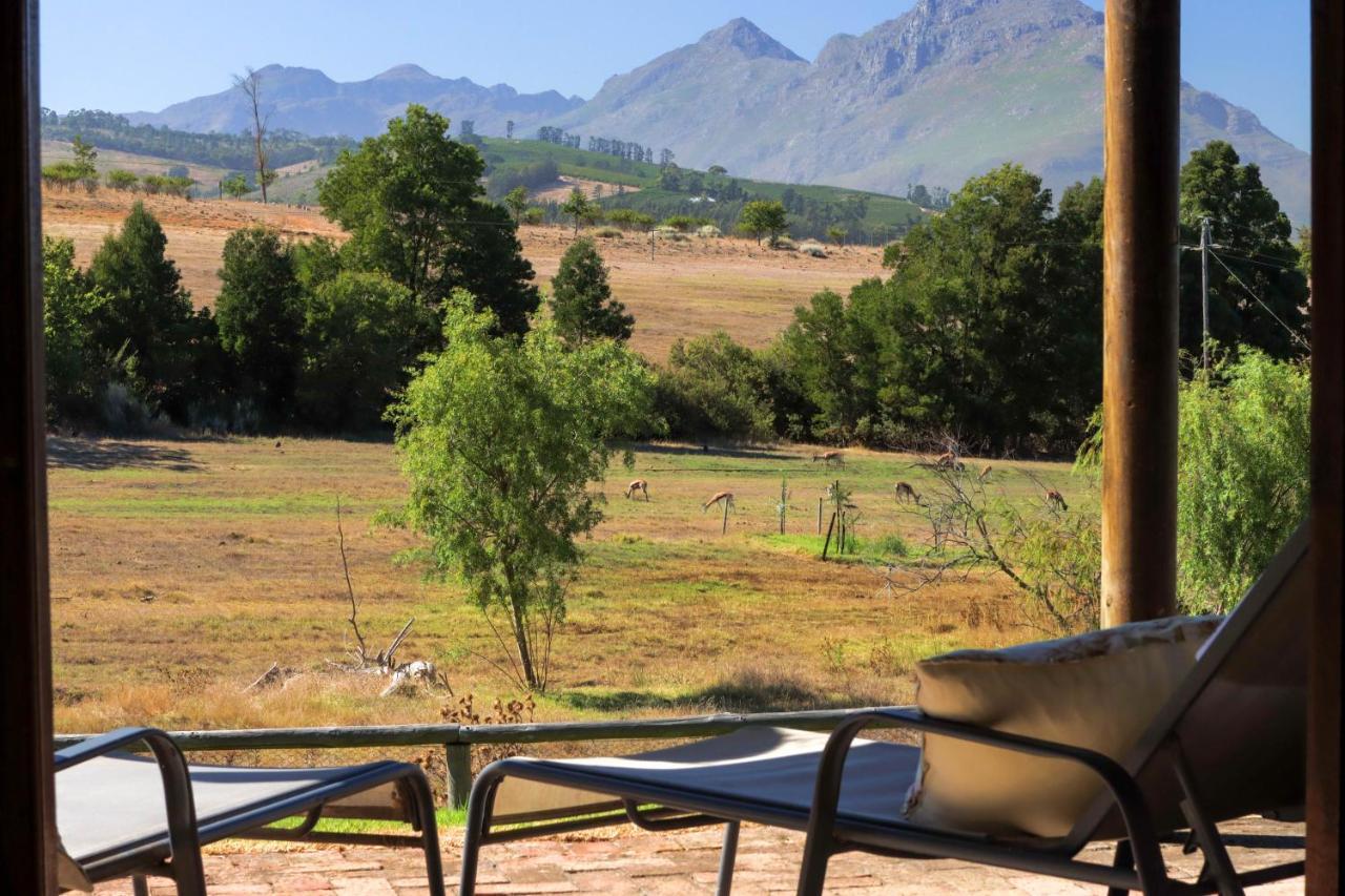 Zebra Cottage And Lodge Stellenbosch Kültér fotó
